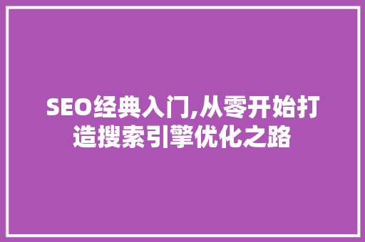 SEO经典入门,从零开始打造搜索引擎优化之路