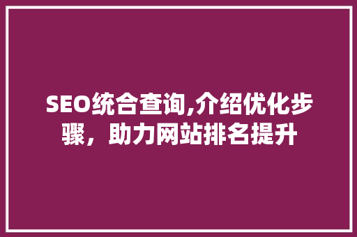 SEO统合查询,介绍优化步骤，助力网站排名提升