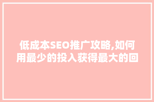 低成本SEO推广攻略,如何用最少的投入获得最大的回报