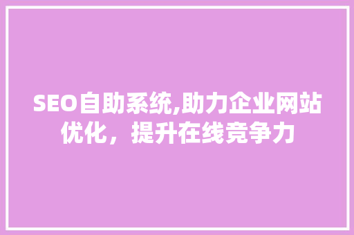 SEO自助系统,助力企业网站优化，提升在线竞争力