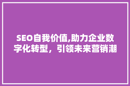SEO自我价值,助力企业数字化转型，引领未来营销潮流