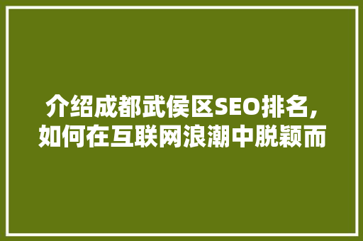 介绍成都武侯区SEO排名,如何在互联网浪潮中脱颖而出
