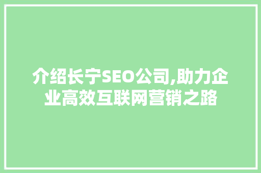介绍长宁SEO公司,助力企业高效互联网营销之路