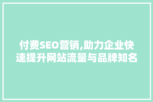付费SEO营销,助力企业快速提升网站流量与品牌知名度