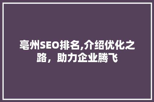 亳州SEO排名,介绍优化之路，助力企业腾飞