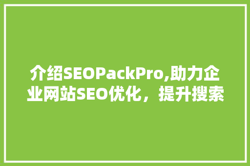 介绍SEOPackPro,助力企业网站SEO优化，提升搜索引擎排名