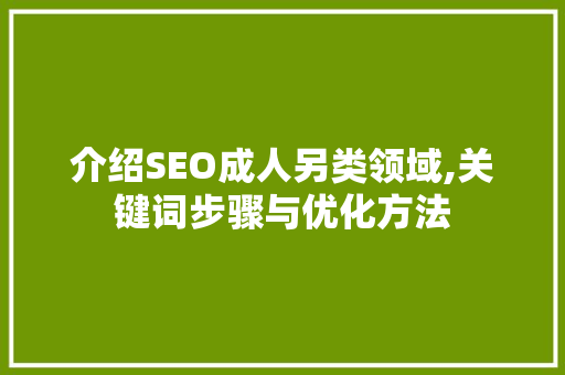 介绍SEO成人另类领域,关键词步骤与优化方法