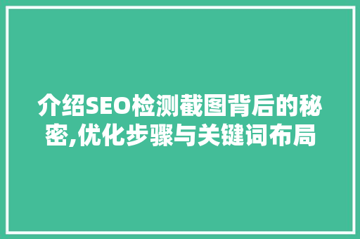 介绍SEO检测截图背后的秘密,优化步骤与关键词布局的艺术