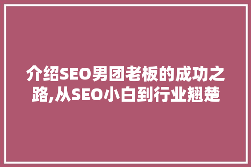 介绍SEO男团老板的成功之路,从SEO小白到行业翘楚的蜕变之路