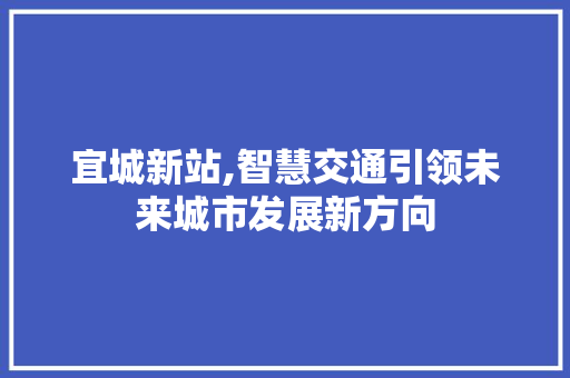 宜城新站,智慧交通引领未来城市发展新方向