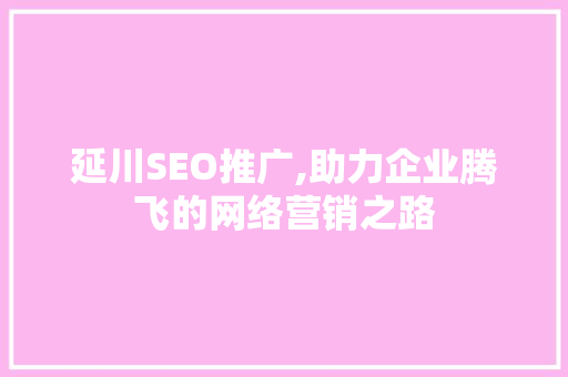 延川SEO推广,助力企业腾飞的网络营销之路