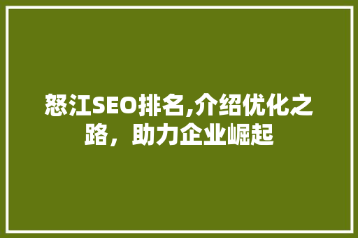 怒江SEO排名,介绍优化之路，助力企业崛起