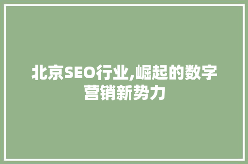 北京SEO行业,崛起的数字营销新势力