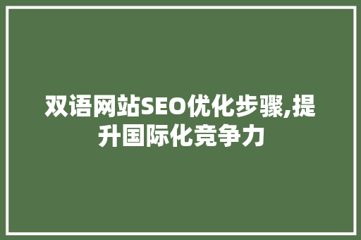 双语网站SEO优化步骤,提升国际化竞争力