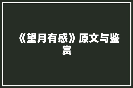 合肥外贸SEO,助力企业抢占互联网市场制高点