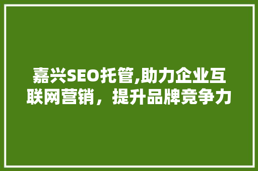 嘉兴SEO托管,助力企业互联网营销，提升品牌竞争力