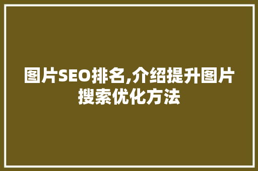 图片SEO排名,介绍提升图片搜索优化方法
