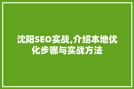 沈阳SEO实战,介绍本地优化步骤与实战方法
