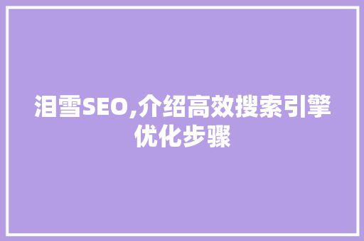 泪雪SEO,介绍高效搜索引擎优化步骤
