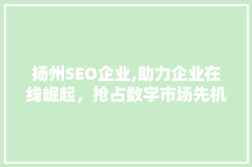 扬州SEO企业,助力企业在线崛起，抢占数字市场先机