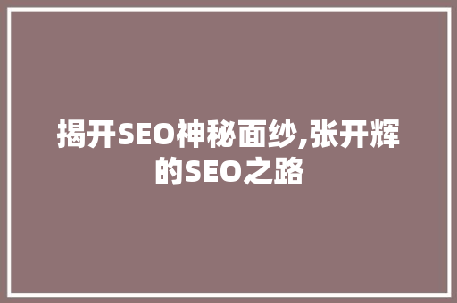 揭开SEO神秘面纱,张开辉的SEO之路