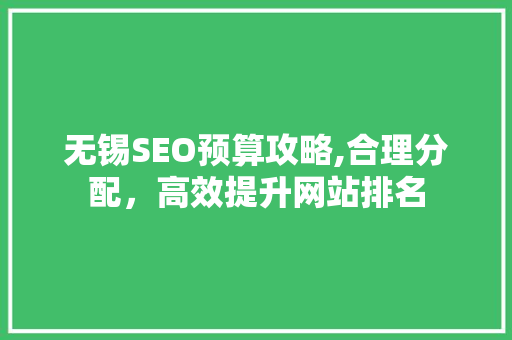 无锡SEO预算攻略,合理分配，高效提升网站排名