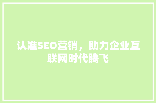 认准SEO营销，助力企业互联网时代腾飞