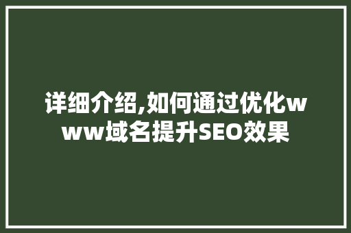 详细介绍,如何通过优化www域名提升SEO效果