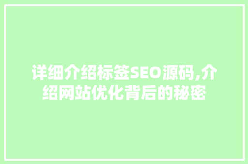 详细介绍标签SEO源码,介绍网站优化背后的秘密