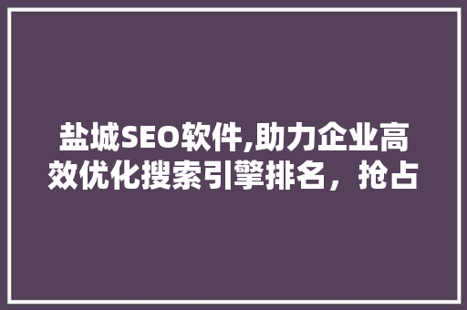 盐城SEO软件,助力企业高效优化搜索引擎排名，抢占市场先机