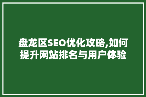 盘龙区SEO优化攻略,如何提升网站排名与用户体验