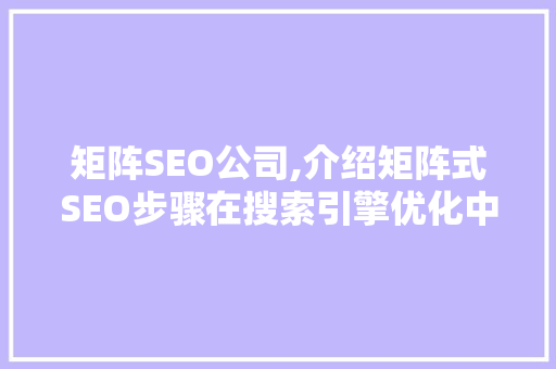 矩阵SEO公司,介绍矩阵式SEO步骤在搜索引擎优化中的应用与优势