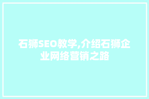 石狮SEO教学,介绍石狮企业网络营销之路