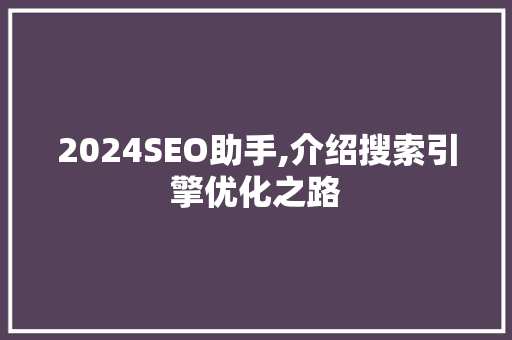 2024SEO助手,介绍搜索引擎优化之路
