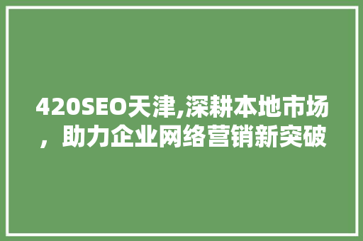 420SEO天津,深耕本地市场，助力企业网络营销新突破