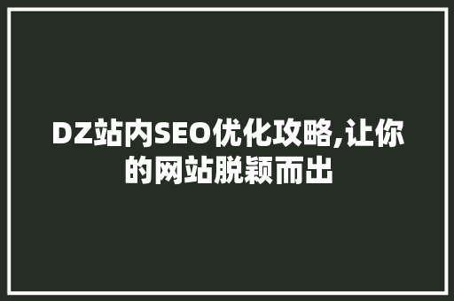 DZ站内SEO优化攻略,让你的网站脱颖而出