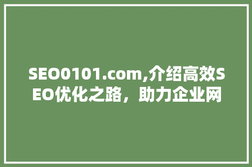 SEO0101.com,介绍高效SEO优化之路，助力企业网络营销腾飞