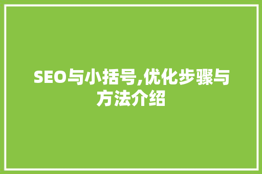 SEO与小括号,优化步骤与方法介绍