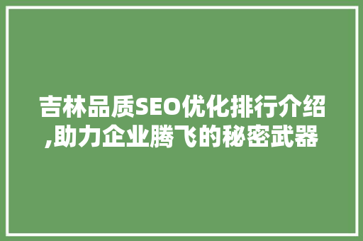 吉林品质SEO优化排行介绍,助力企业腾飞的秘密武器