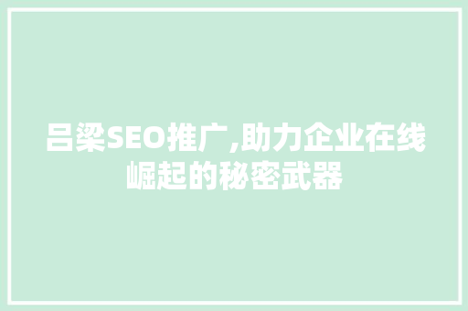 吕梁SEO推广,助力企业在线崛起的秘密武器