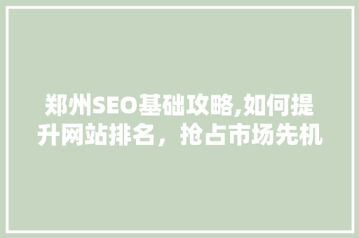 郑州SEO基础攻略,如何提升网站排名，抢占市场先机