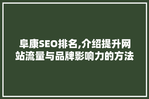 阜康SEO排名,介绍提升网站流量与品牌影响力的方法