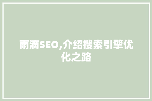 雨滴SEO,介绍搜索引擎优化之路