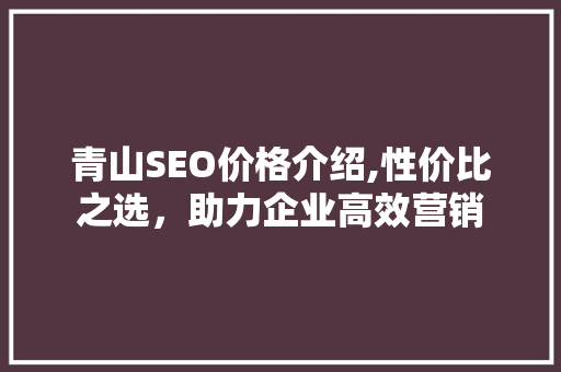 青山SEO价格介绍,性价比之选，助力企业高效营销