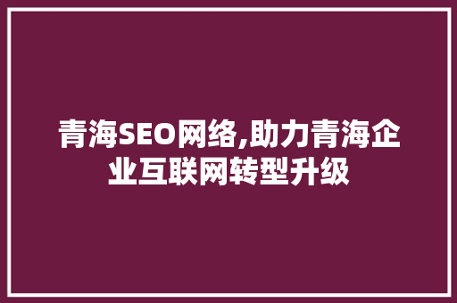 青海SEO网络,助力青海企业互联网转型升级