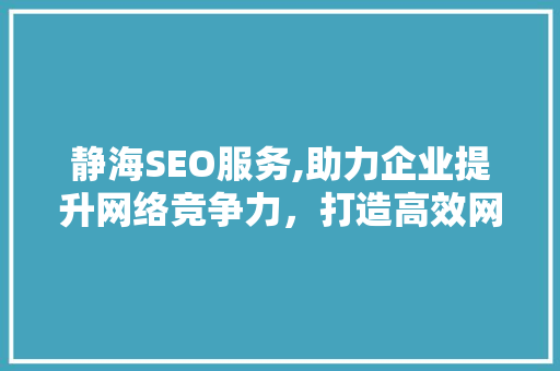 静海SEO服务,助力企业提升网络竞争力，打造高效网络营销步骤