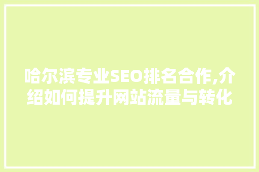哈尔滨专业SEO排名合作,介绍如何提升网站流量与转化率