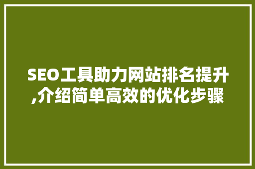 SEO工具助力网站排名提升,介绍简单高效的优化步骤