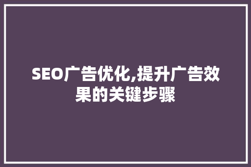 SEO广告优化,提升广告效果的关键步骤