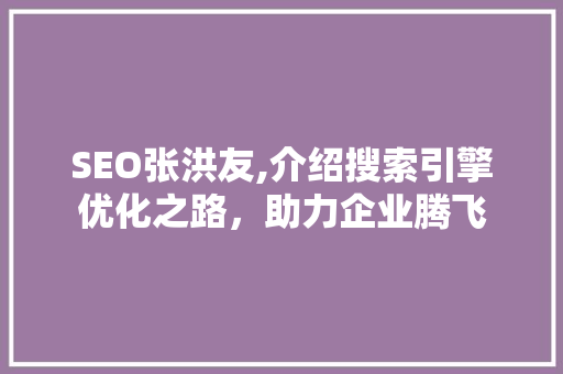 SEO张洪友,介绍搜索引擎优化之路，助力企业腾飞